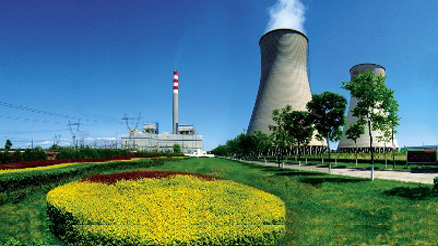 關(guān)于金環(huán)