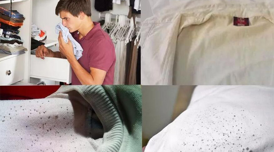 衣服護理小常識：潮濕天衣物有霉味不宜穿  該怎么辦？
