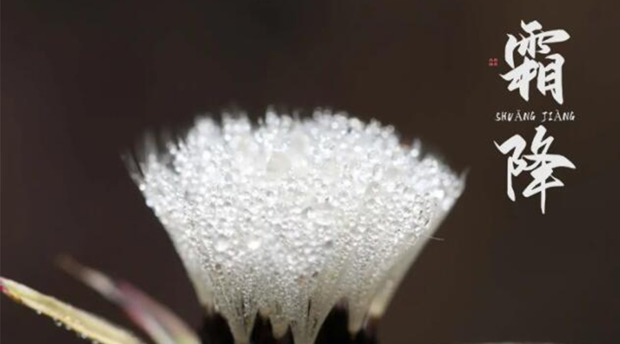 霜降時節(jié)！金環(huán)電器提醒大家要注意的事項