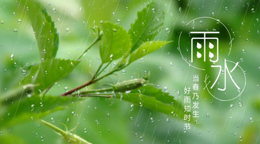 雨水時節(jié)！金環(huán)電器提醒大家要注意的事項