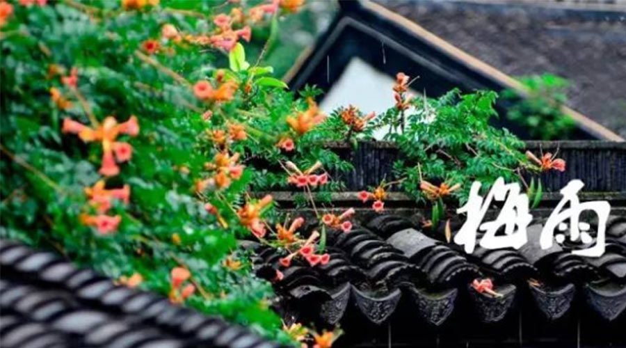 什么是梅雨？梅雨如何形成？  金環(huán)電器告訴你答案